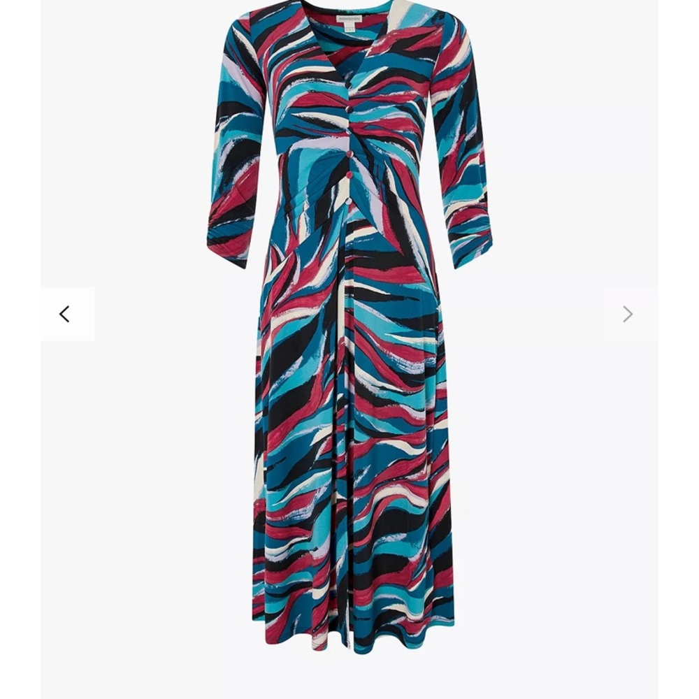 Monsoon dress